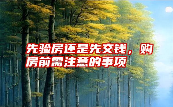 先验房还是先交钱,购房前需注意的事项