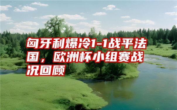 匈牙利爆冷1-1战平法国，欧洲杯小组赛战况回顾