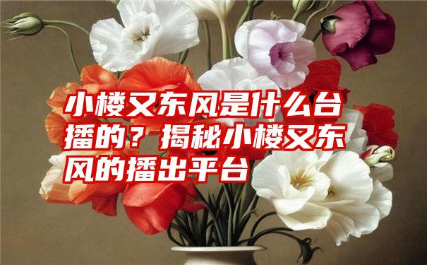 小楼又东风是什么台播的？揭秘小楼又东风的播出平台