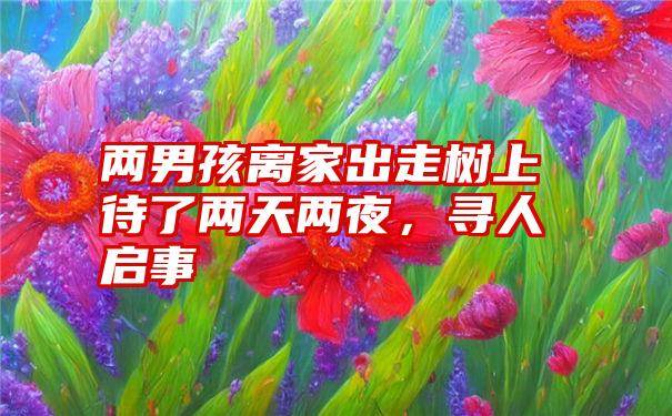 两男孩离家出走树上待了两天两夜，寻人启事