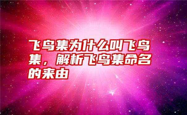 飞鸟集为什么叫飞鸟集，解析飞鸟集命名的来由