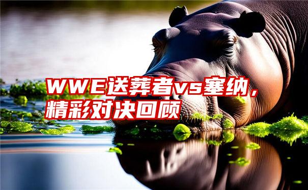 WWE送葬者vs塞纳，精彩对决回顾