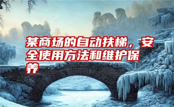 某商场的自动扶梯,安全使用方法和维护保养