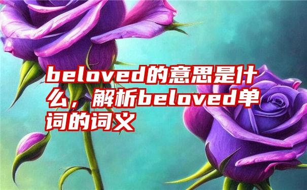 beloved的意思是什么，解析beloved单词的词义