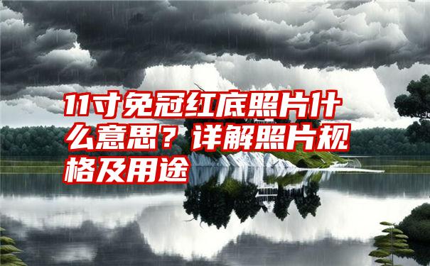 11寸免冠红底照片什么意思？详解照片规格及用途