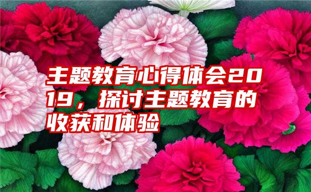 主题教育心得体会2019，探讨主题教育的收获和体验