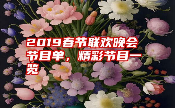 2019春节联欢晚会节目单，精彩节目一览