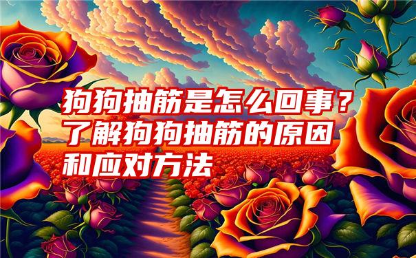 狗狗抽筋是怎么回事？了解狗狗抽筋的原因和应对方法