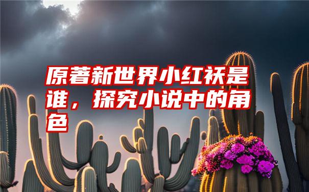 原著新世界小红袄是谁，探究小说中的角色