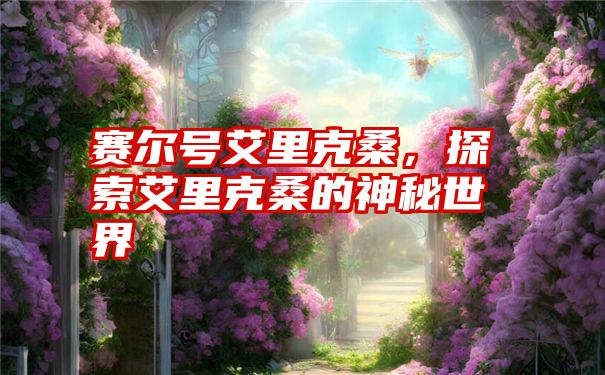 赛尔号艾里克桑,探索艾里克桑的神秘世界