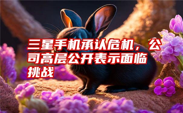 三星手机承认危机，公司高层公开表示面临挑战