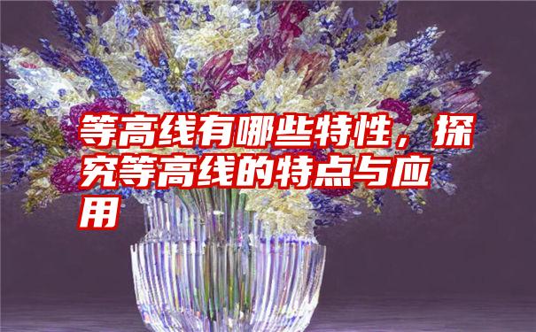 等高线有哪些特性,探究等高线的特点与应用