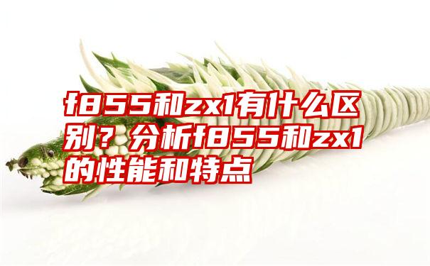 f855和zx1有什么区别？分析f855和zx1的性能和特点