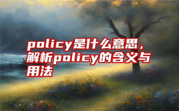 policy是什么意思，解析policy的含义与用法