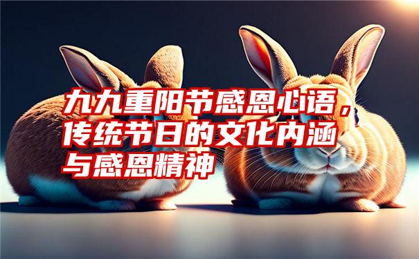 九九重阳节感恩心语,传统节日的文化内涵与感恩精神