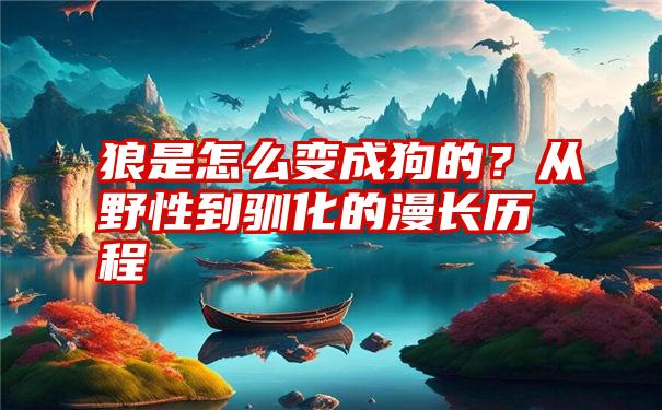 狼是怎么变成狗的？从野性到驯化的漫长历程