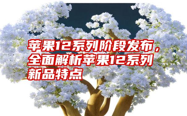 苹果12系列阶段发布，全面解析苹果12系列新品特点