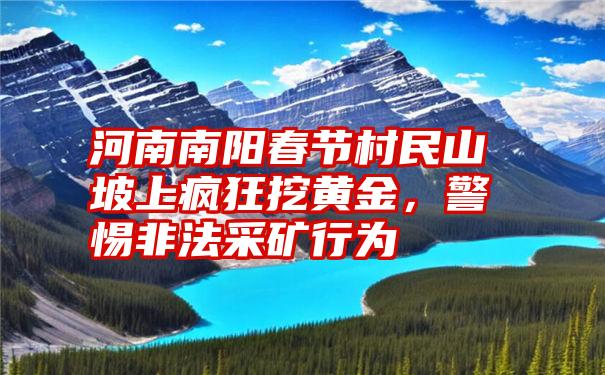 河南南阳春节村民山坡上疯狂挖黄金，警惕非法采矿行为