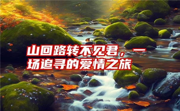 山回路转不见君，一场追寻的爱情之旅