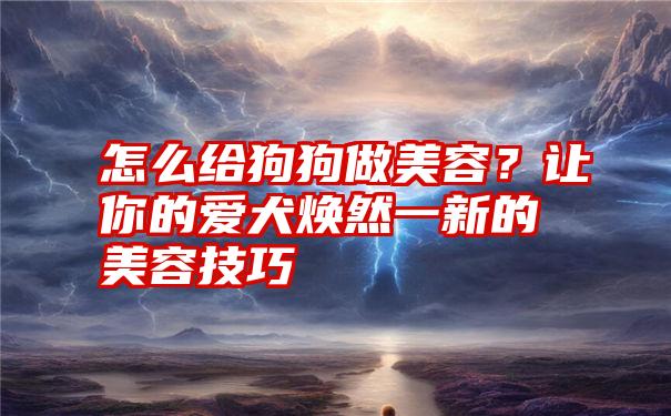 怎么给狗狗做美容？让你的爱犬焕然一新的美容技巧