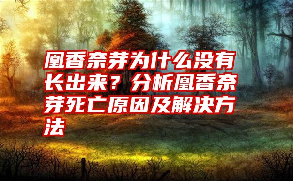 凰香奈芽为什么没有长出来？分析凰香奈芽死亡原因及解决方法