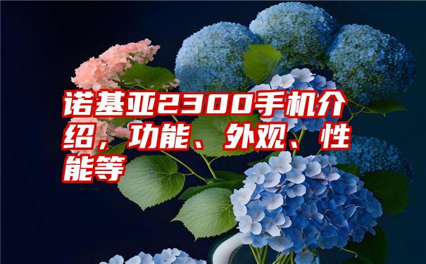 诺基亚2300手机介绍，功能、外观、性能等