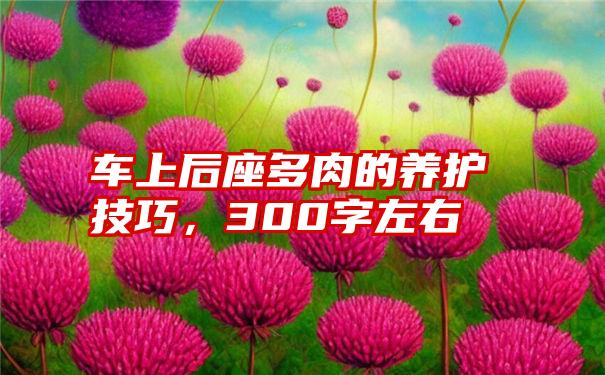 车上后座多肉的养护技巧，300字左右