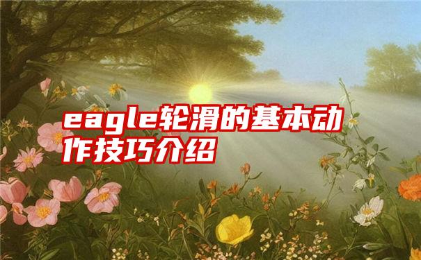 eagle轮滑的基本动作技巧介绍