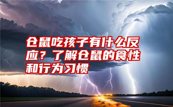 仓鼠吃孩子有什么反应？了解仓鼠的食性和行为习惯