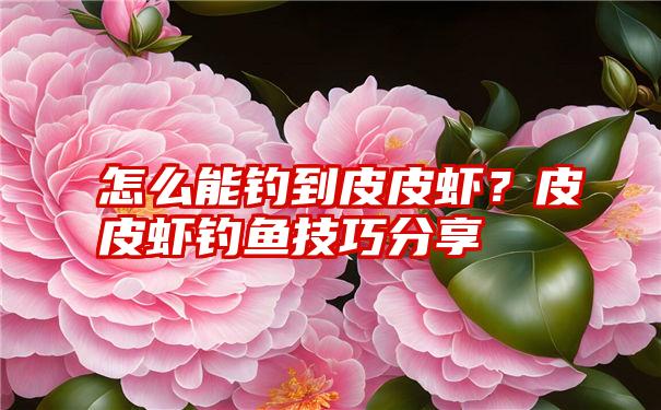 怎么能钓到皮皮虾？皮皮虾钓鱼技巧分享