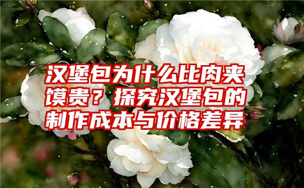 汉堡包为什么比肉夹馍贵？探究汉堡包的制作成本与价格差异