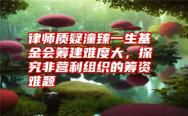 律师质疑潼臻一生基金会筹建难度大，探究非营利组织的筹资难题