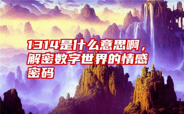 1314是什么意思啊，解密数字世界的情感密码