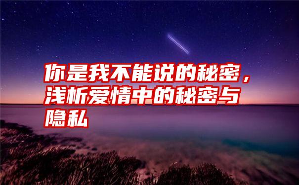 你是我不能说的秘密，浅析爱情中的秘密与隐私