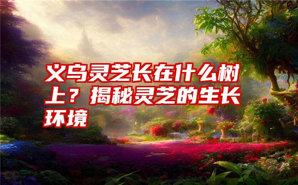 义乌灵芝长在什么树上？揭秘灵芝的生长环境