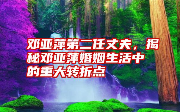 邓亚萍第二任丈夫,揭秘邓亚萍婚姻生活中的重大转折点