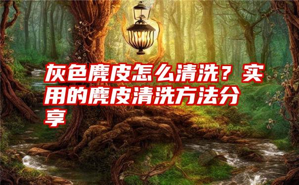 灰色麂皮怎么清洗？实用的麂皮清洗方法分享