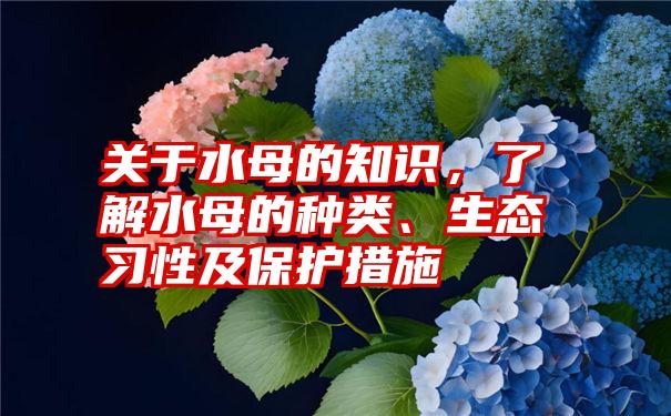 关于水母的知识，了解水母的种类、生态习性及保护措施