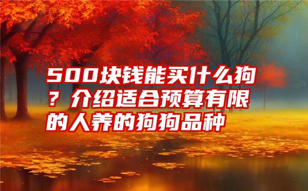 500块钱能买什么狗?介绍适合预算有限的人养的狗狗品种