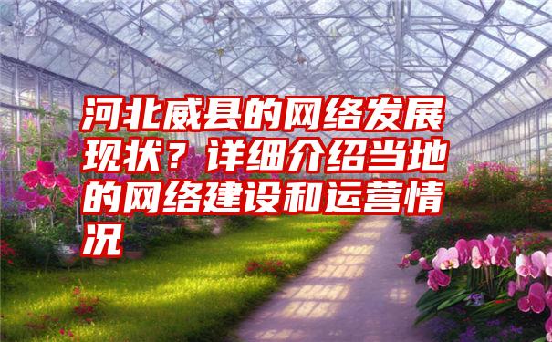 河北威县的网络发展现状？详细介绍当地的网络建设和运营情况