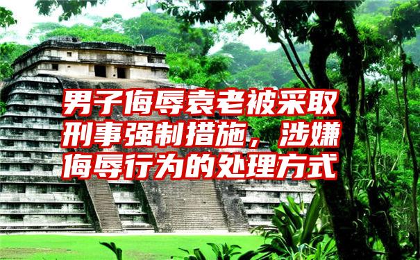 男子侮辱袁老被采取刑事强制措施,涉嫌侮辱行为的处理方式