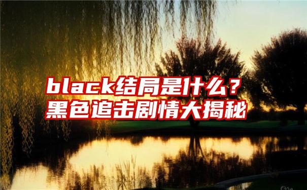 black结局是什么？黑色追击剧情大揭秘