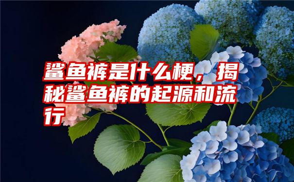 鲨鱼裤是什么梗，揭秘鲨鱼裤的起源和流行