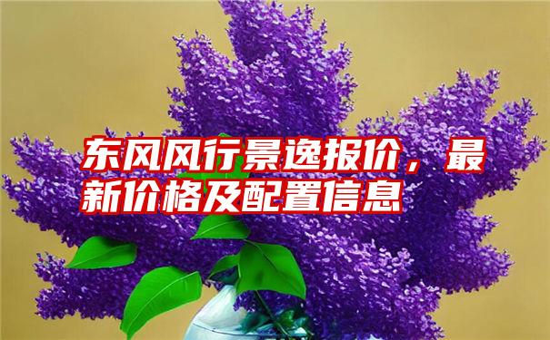 东风风行景逸报价，最新价格及配置信息