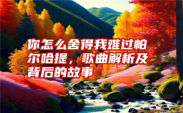 你怎么舍得我难过帕尔哈提，歌曲解析及背后的故事