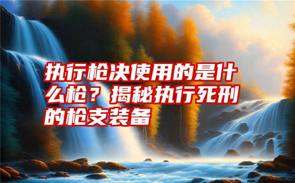 执行枪决使用的是什么枪？揭秘执行死刑的枪支装备