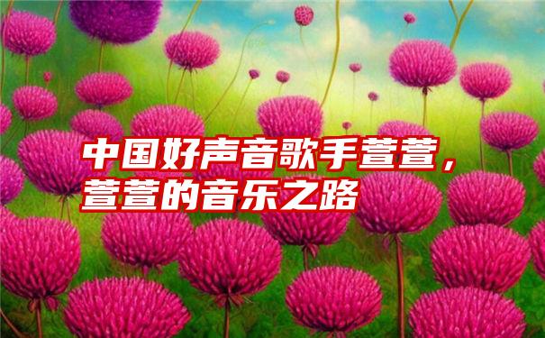 中国好声音歌手萱萱，萱萱的音乐之路
