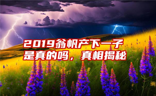 2019翁帆产下一子是真的吗，真相揭秘