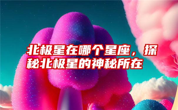 北极星在哪个星座，探秘北极星的神秘所在