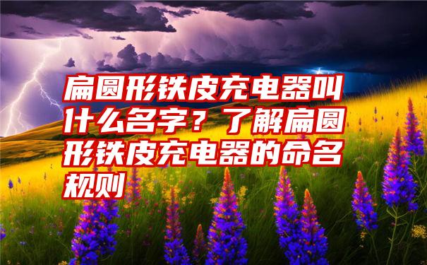 扁圆形铁皮充电器叫什么名字？了解扁圆形铁皮充电器的命名规则